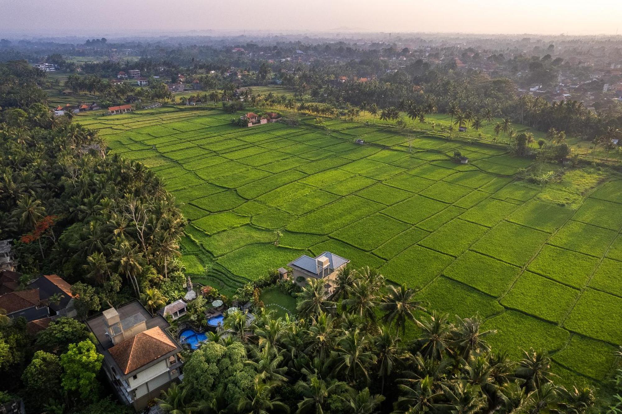 Gynandha Ubud Cottage Экстерьер фото