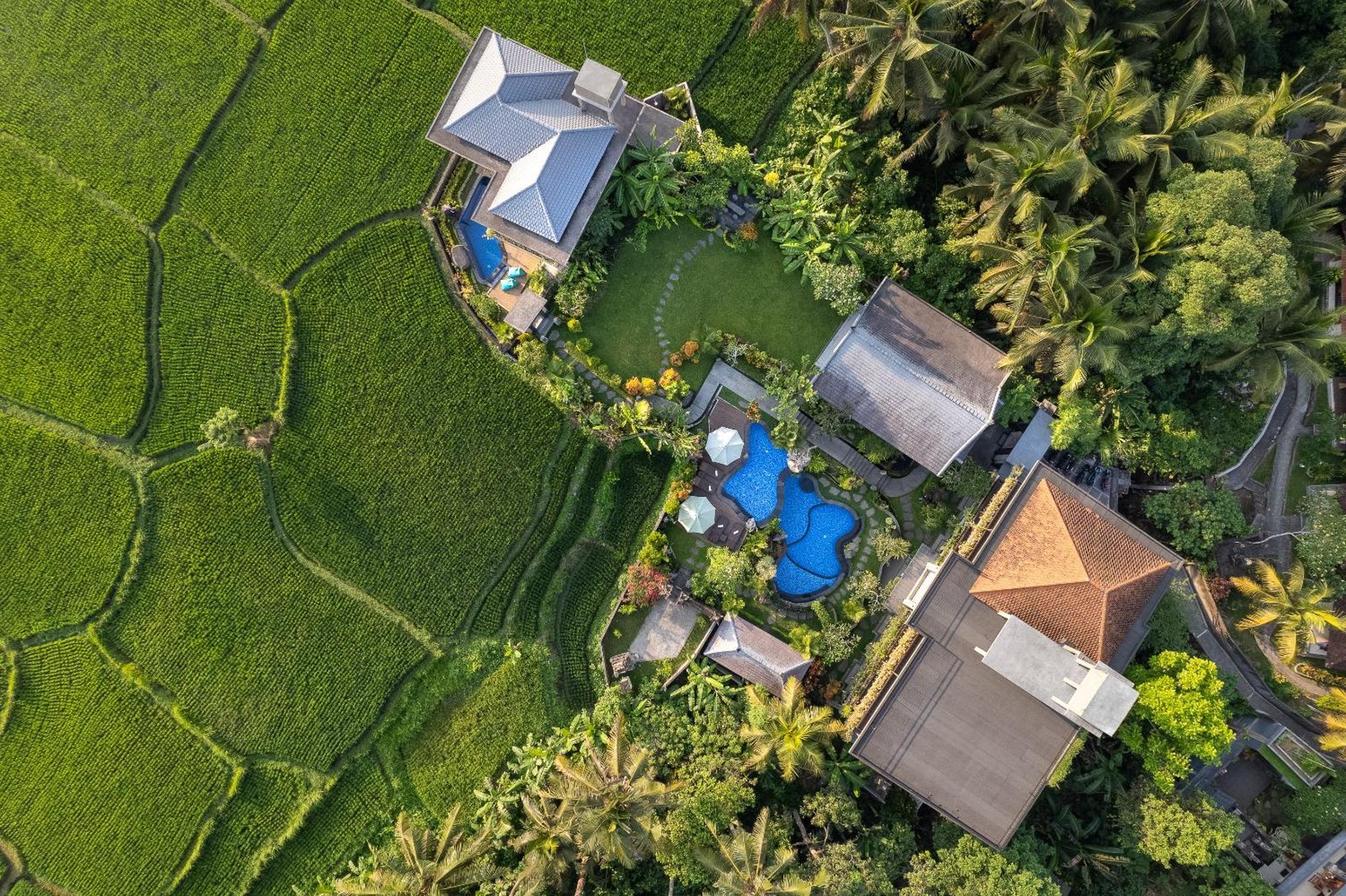 Gynandha Ubud Cottage Экстерьер фото